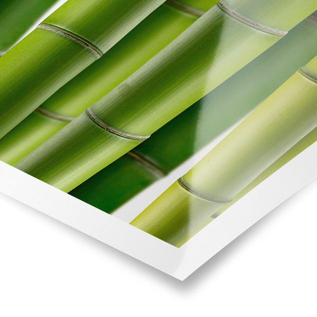 Poster - piante di bambù - Verticale 3:2