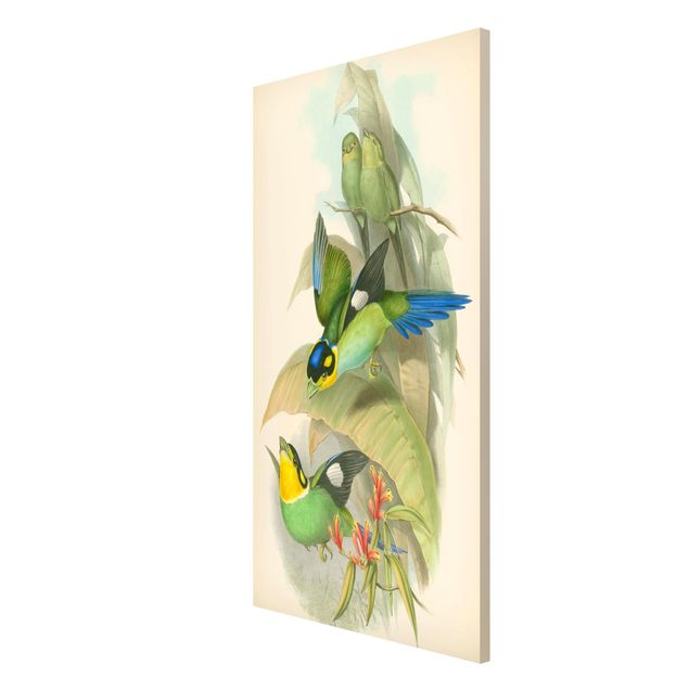 Lavagna magnetica - Illustrazione Vintage Uccelli tropicali - Formato verticale 4:3