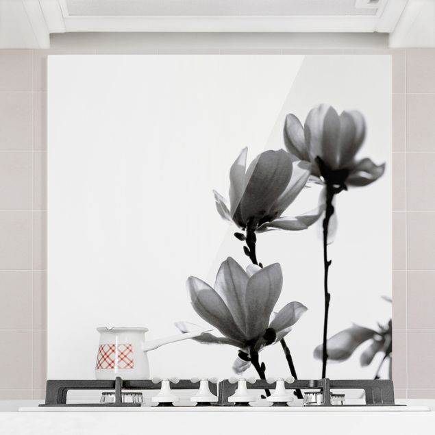 paraschizzi cucina vetro magnetico Magnolia araldo di primavera in bianco e nero