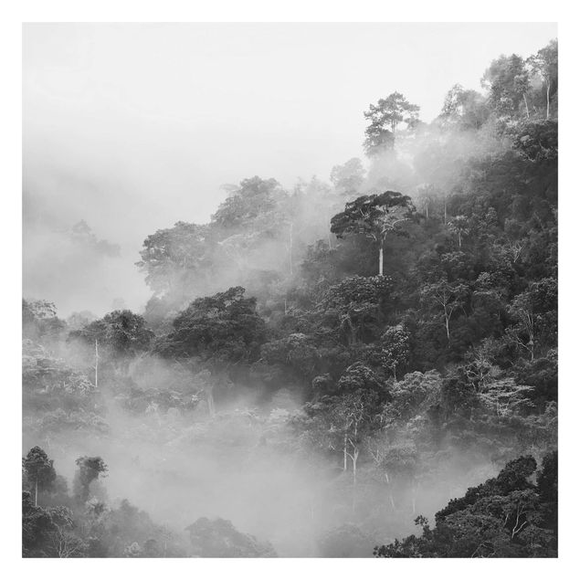 Carta da parati adesiva foresta - Giungla nella nebbia - Formato quadrato