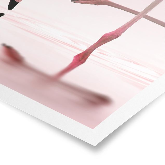 Poster - Flamingo danza - Verticale 4:3