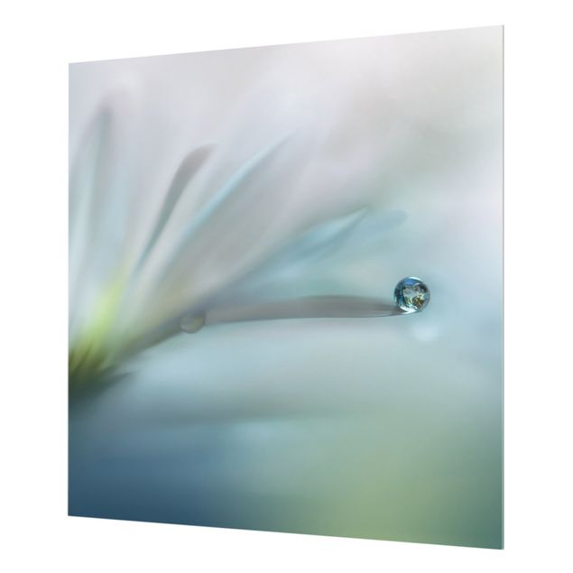 Paraschizzi in vetro - Goccia di rugiada su fiore bianco - Quadrato 1:1
