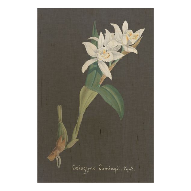 Stampa su legno - White Orchid su lino II - Verticale 3:2