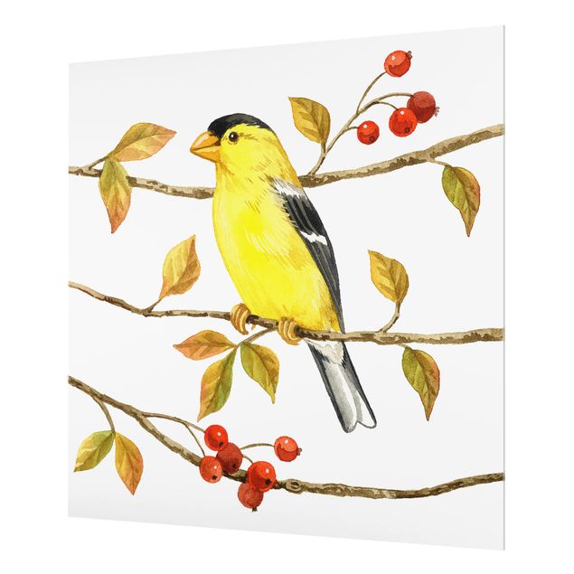 Paraschizzi in vetro - Birds And Berries - American Goldfinch