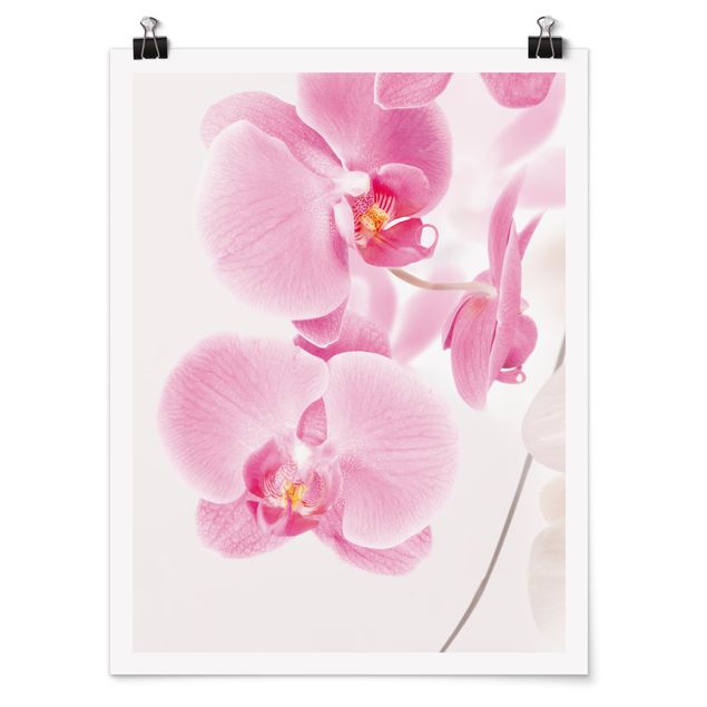 Poster - delicate orchidee - Verticale 4:3