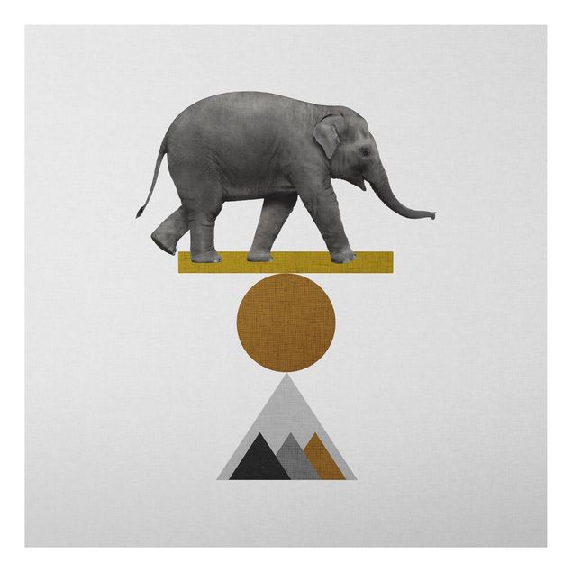 Stampa su alluminio - Elefante nell'arte dell'equilibrio