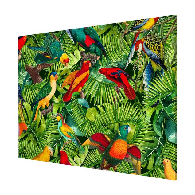 Lavagna magnetica - Colorato collage - Parrot In The Jungle - Formato orizzontale 3:4