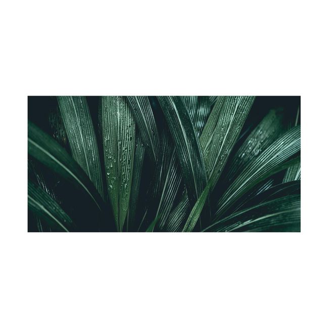 Tappeti verdi Foglie di palma verde
