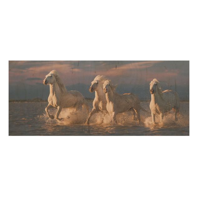 Quadro in legno - Cavalli selvaggi in Kamargue - Panoramico