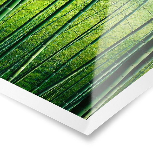 Poster - Bamboo Forest - Orizzontale 3:4