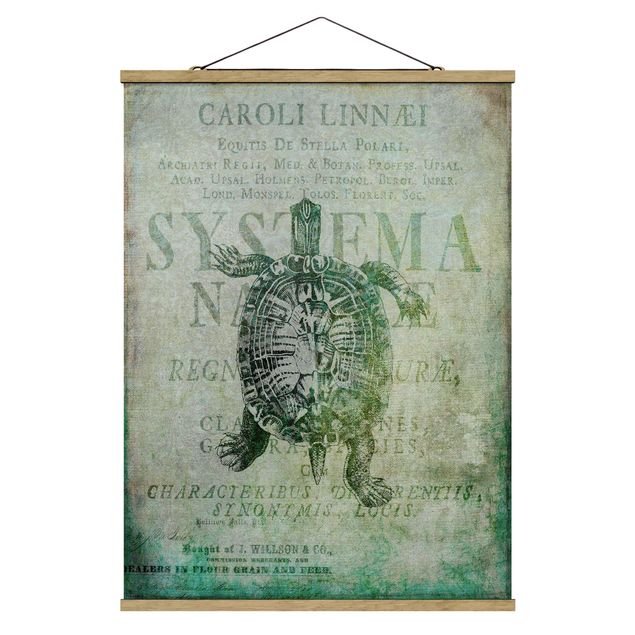 Foto su tessuto da parete con bastone - Vintage collage - Antique Turtle - Verticale 4:3