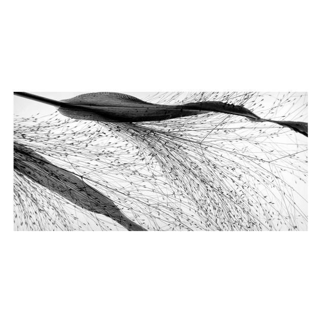 Lavagna magnetica nero Canna delicata con boccioli sottili in bianco e nero