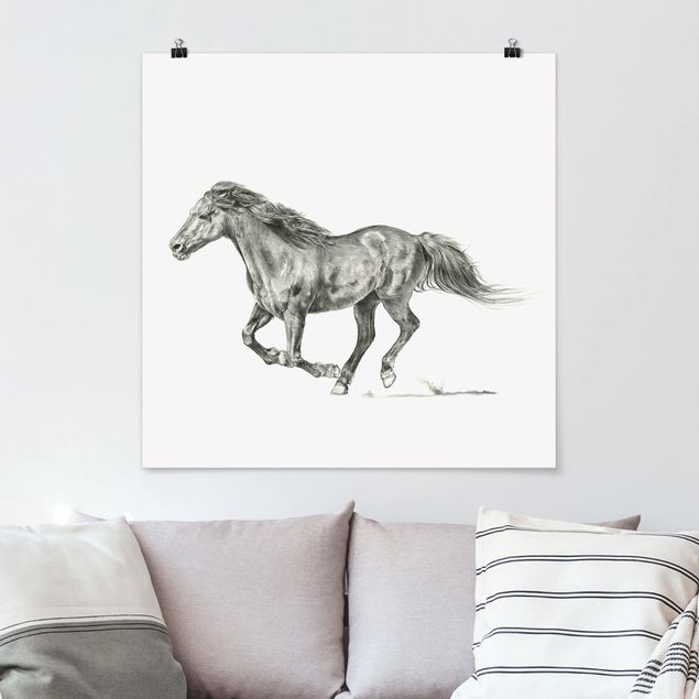 Poster illustrazioni Prova di cavallo selvaggio - cavalla