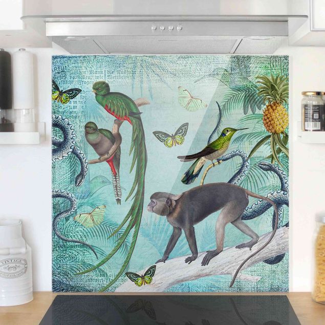 paraschizzi vetro magnetico Collage in stile coloniale - Scimmie e uccelli del paradiso