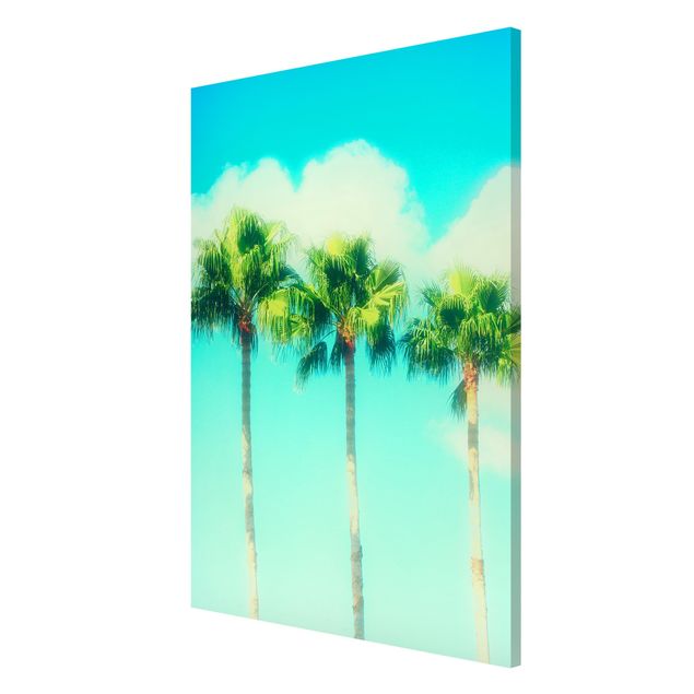 Lavagna magnetica - Palme Di Fronte Cielo Blu - Formato verticale 2:3