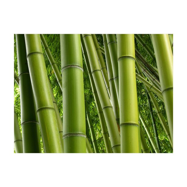 Tappeti floreali moderni Alberi di bambù n.2