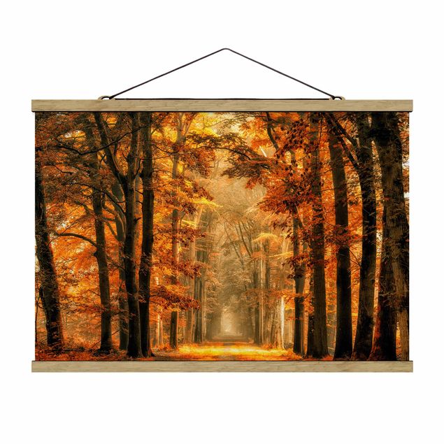 Foto su tessuto da parete con bastone - Enchanted Forest In autunno - Orizzontale 2:3