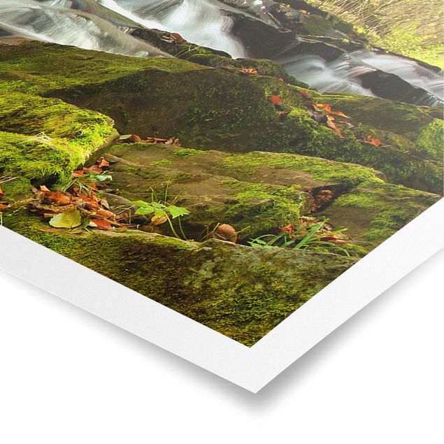 Poster - Cascata bosco autunnale - Panorama formato orizzontale