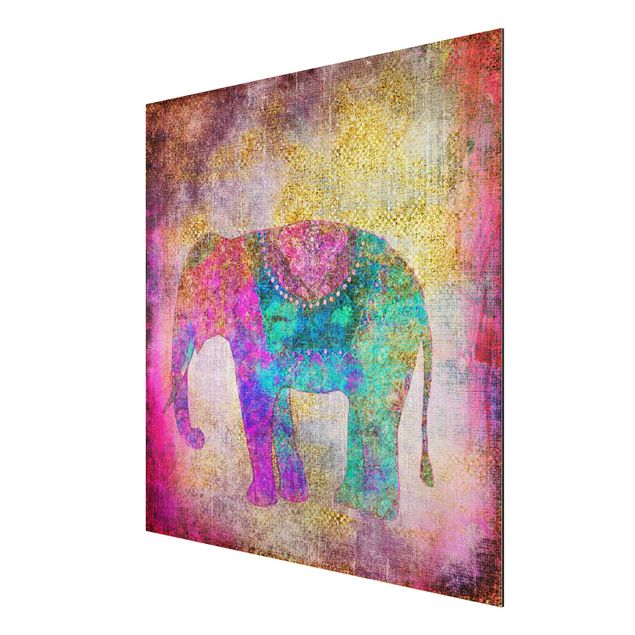 Stampa su alluminio spazzolato - Colorato collage - Elefante indiano - Quadrato 1:1