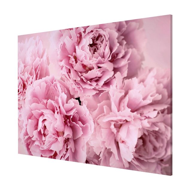 Lavagna magnetica - Peonie rosa - Formato orizzontale 3:4
