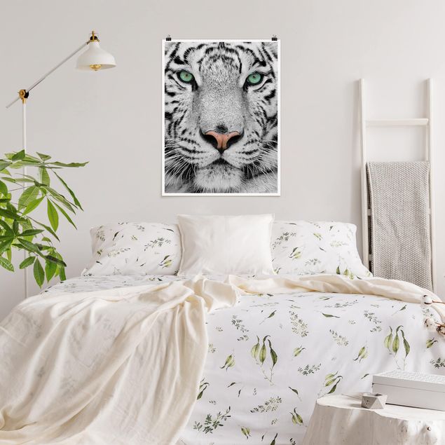 Poster - white Tiger - Verticale 4:3