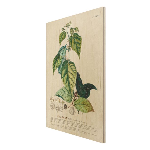 Stampa su legno - Vintage botanica cacao - Verticale 3:2