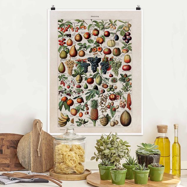 Poster illustrazioni Bacheca Vintage Frutti