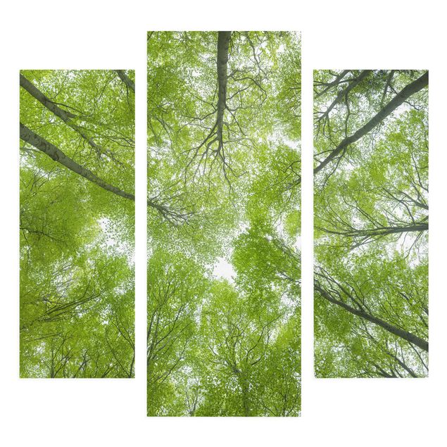 Stampa su tela - Beech Forest On Lindkogel - Trittico da galleria