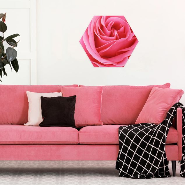 Esagono in Alluminio Dibond - Lustful Pink Rose