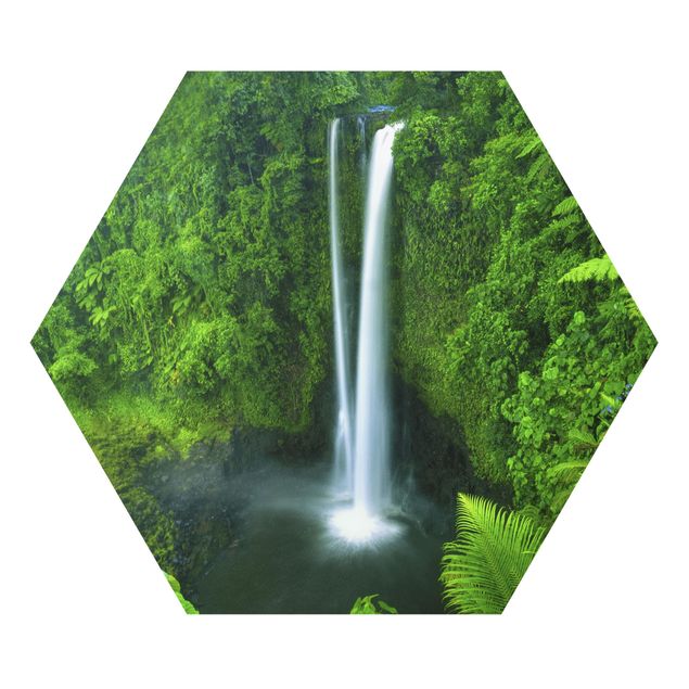 Esagono in forex - paradisiaca Waterfall