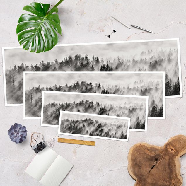 Poster - Raggi Luce nella foresta di conifere - Panorama formato orizzontale