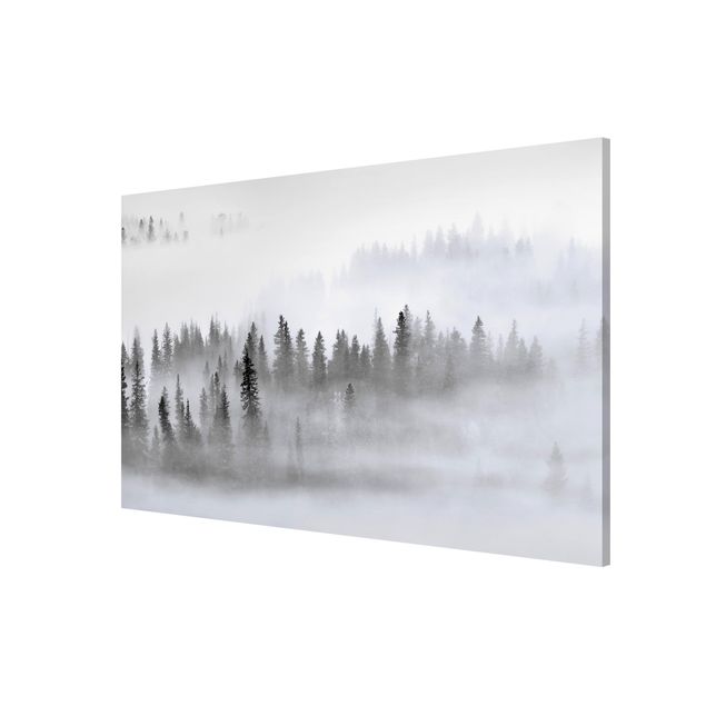 Lavagna magnetica - Nebbia nel bosco di abeti in bianco e nero