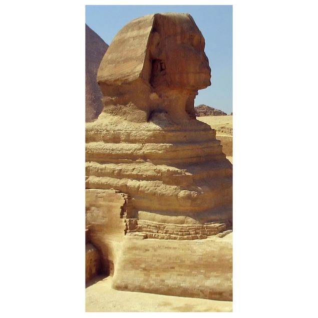 Tenda a pannello Mysterious Sphinx 250x120cm
