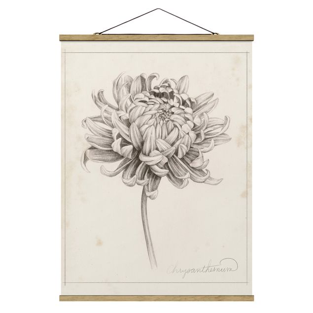 Foto su tessuto da parete con bastone - Botanical Study I Chrysanthemum - Verticale 4:3