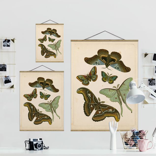 Foto su tessuto da parete con bastone - Vintage Illustrazione di farfalle esotiche II - Verticale 4:3