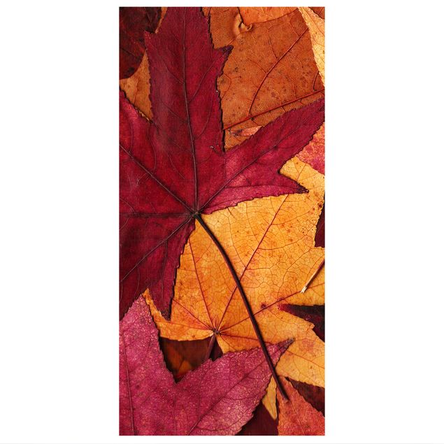 Tenda a pannello Coloured Leaves 250x120cm