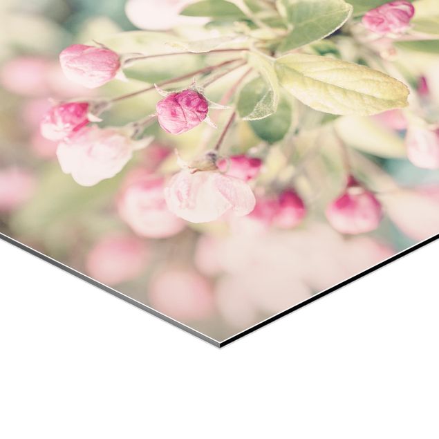 Esagono in Alluminio Dibond - Apple Blossom rosa bokeh