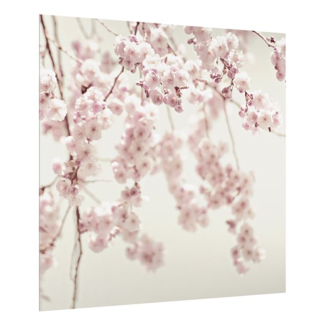 Paraschizzi in vetro - Danza di fiori di ciliegio - Quadrato 1:1