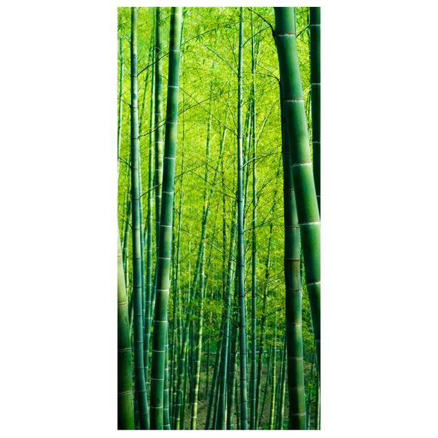 Tenda a pannello Bamboo Forest 250x120cm