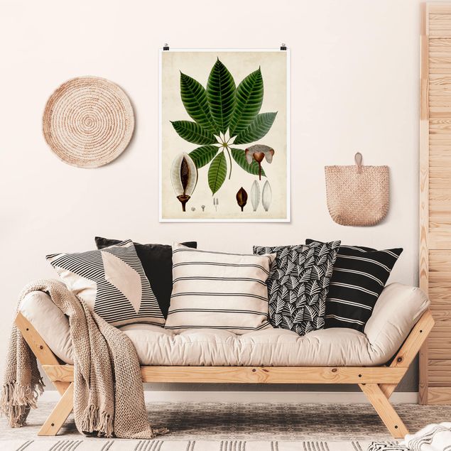 Poster vintage Poster con piante caducifoglie VII