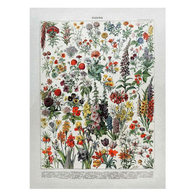 Lavagna magnetica - Vintage Consiglio Flowers IV - Formato verticale 4:3