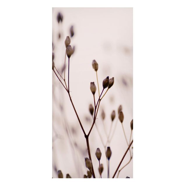 Lavagna magnetica - Gemme scure su ramo di fiori selvatici