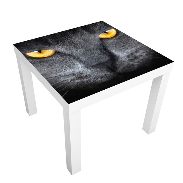 Carta adesiva per mobili IKEA - Lack Tavolino Gauze Cats