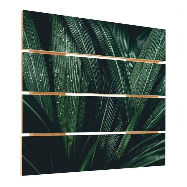 Stampa su legno - Verdi foglie di palma - Quadrato 1:1