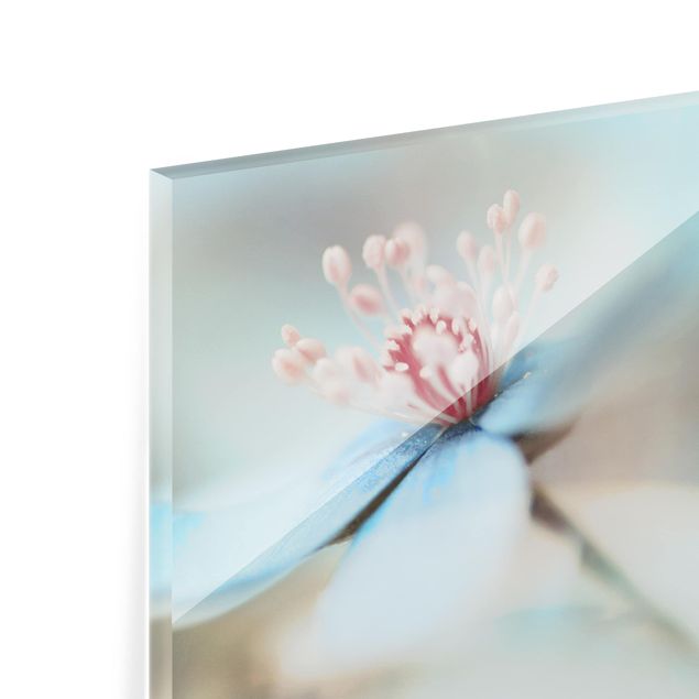 Paraschizzi in vetro - Flowers In Light Blue
