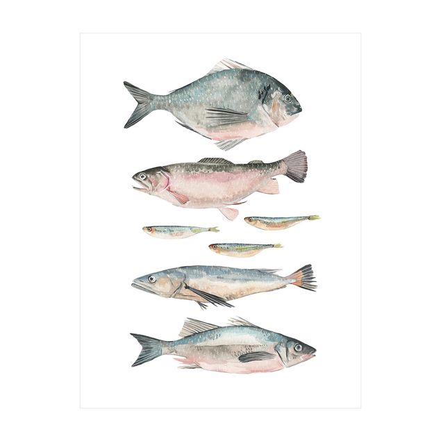 Tappeti grandi Sette pesci in acquerello II