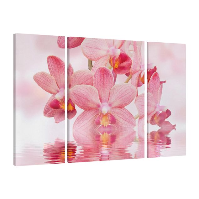 Stampe su tela Orchidea rosa chiaro sull'acqua
