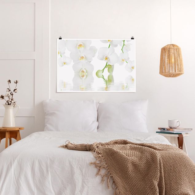Poster - Wellness Orchid - White Orchid - Orizzontale 2:3