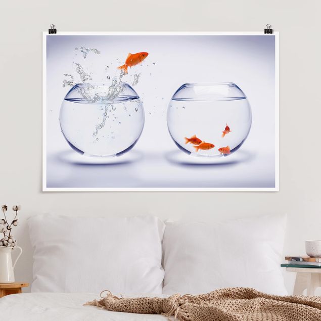 Quadri animali volante Goldfish