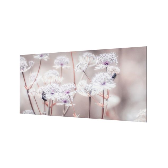 Paraschizzi in vetro - Leggeri fiori selvatici - Formato orizzontale 2:1